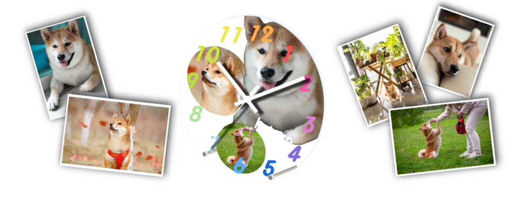 柴犬の写真からできたアクリル時計の画像